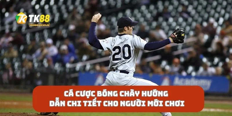 Cá Cược Bóng Chày Hướng Dẫn Chi Tiết Cho Người Mới Chơi